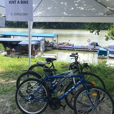 Tisza-beach Wild 5