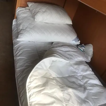 Tisza-beach Wild 5 キャンプ場 *