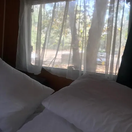 キャンプ場 Tisza-beach Wild 5