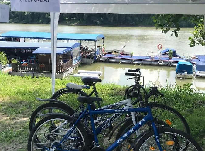 Tisza-beach Wild 5