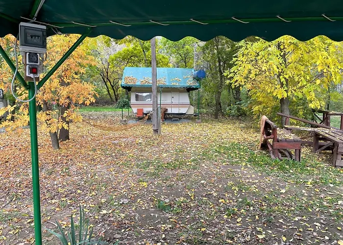 Tisza-beach Wild 5 *