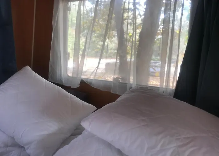 Tisza-beach Wild 5 营地 塞格德