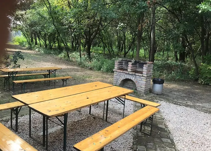 Tisza-beach Wild 5 营地 *