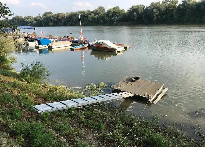 Tisza-beach Wild 5 营地