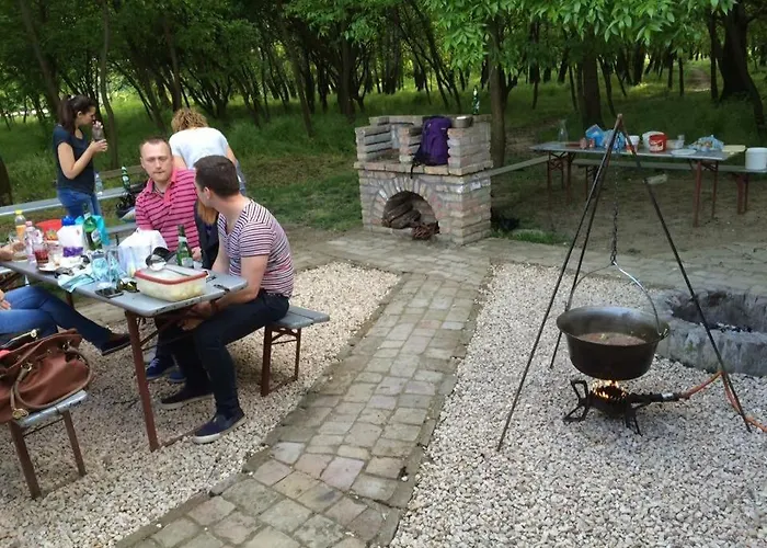 Tisza-beach Wild 5 营地 *