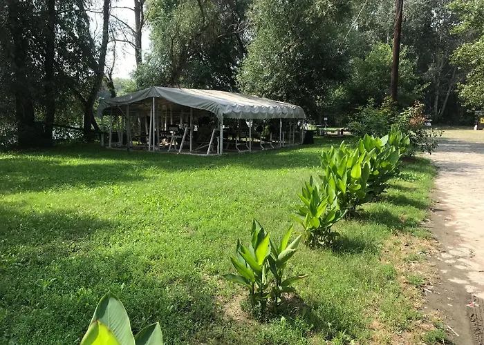 Tisza-beach Wild 5 *