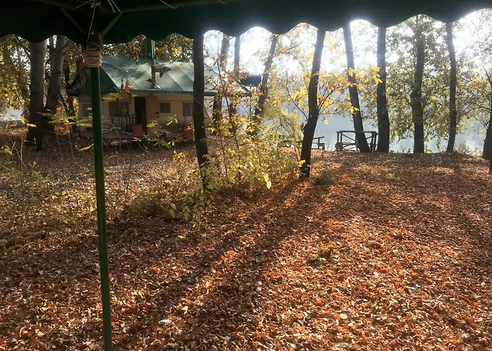 Tisza-beach Wild 5 *