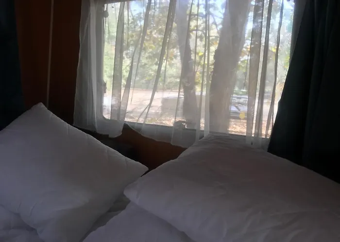 营地 Tisza-beach Wild 5