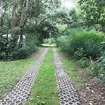 Tisza-beach Wild 5 *