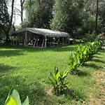 Tisza-beach Wild 5 *