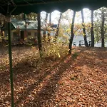 Tisza-beach Wild 5 *
