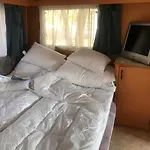Tisza-beach Wild 5 Kemp