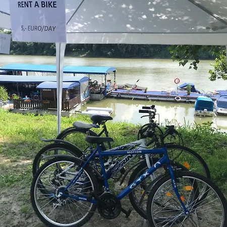 Tisza-beach Wild 5