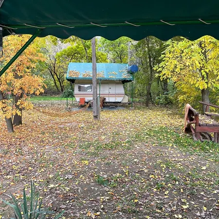 Tisza-beach Wild 5 *