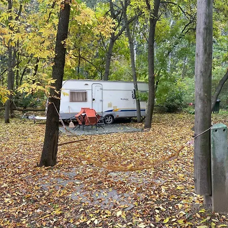 Tisza-beach Wild 5 Campsite
