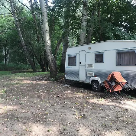 Campsite Tisza-beach Wild 5