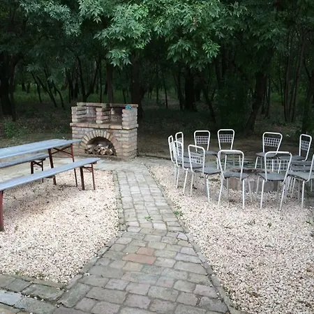 Tisza-beach Wild 5