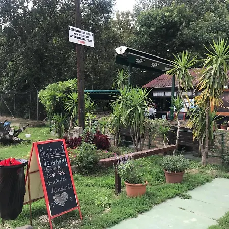 Campsite Tisza-beach Wild 5
