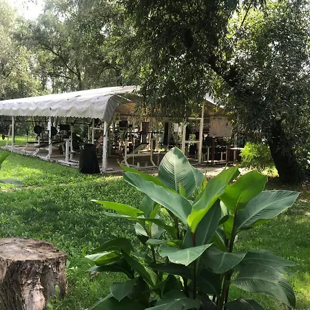 Tisza-beach Wild 5 *
