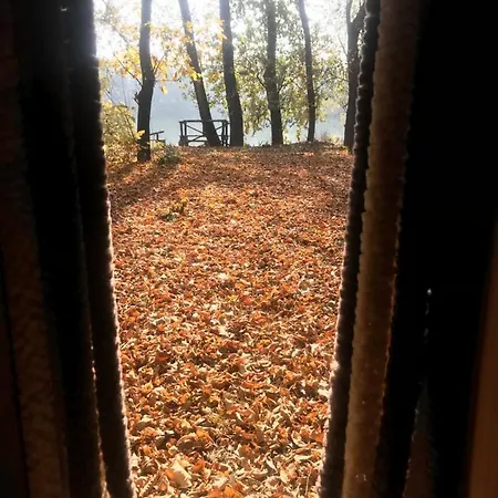 Tisza-beach Wild 5 Campsite Szeged