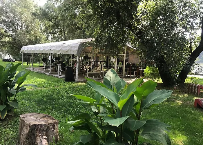 Tisza-beach Wild 5 *